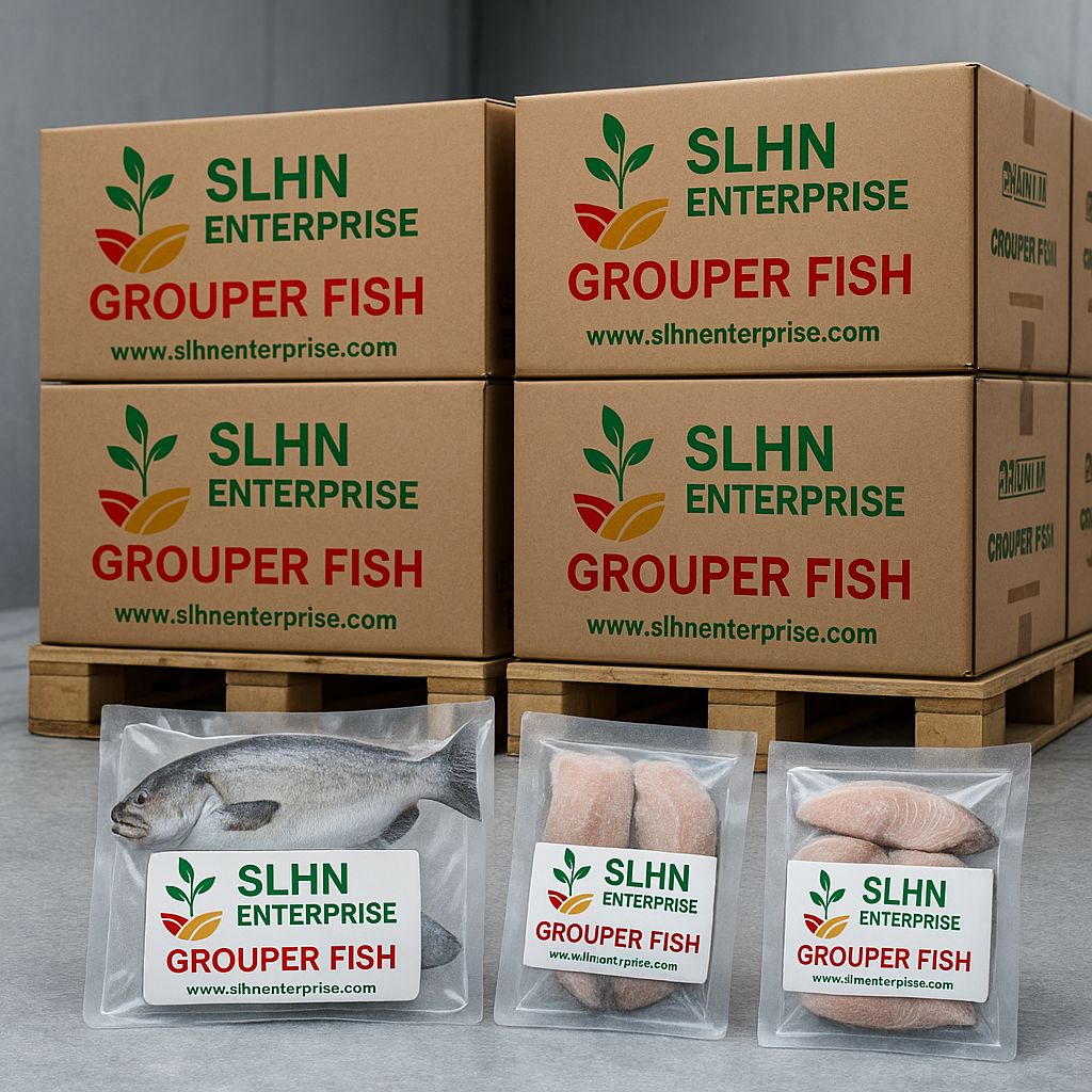 Frozen Grouper Fish – High-Quality Whitefish for Global Markets