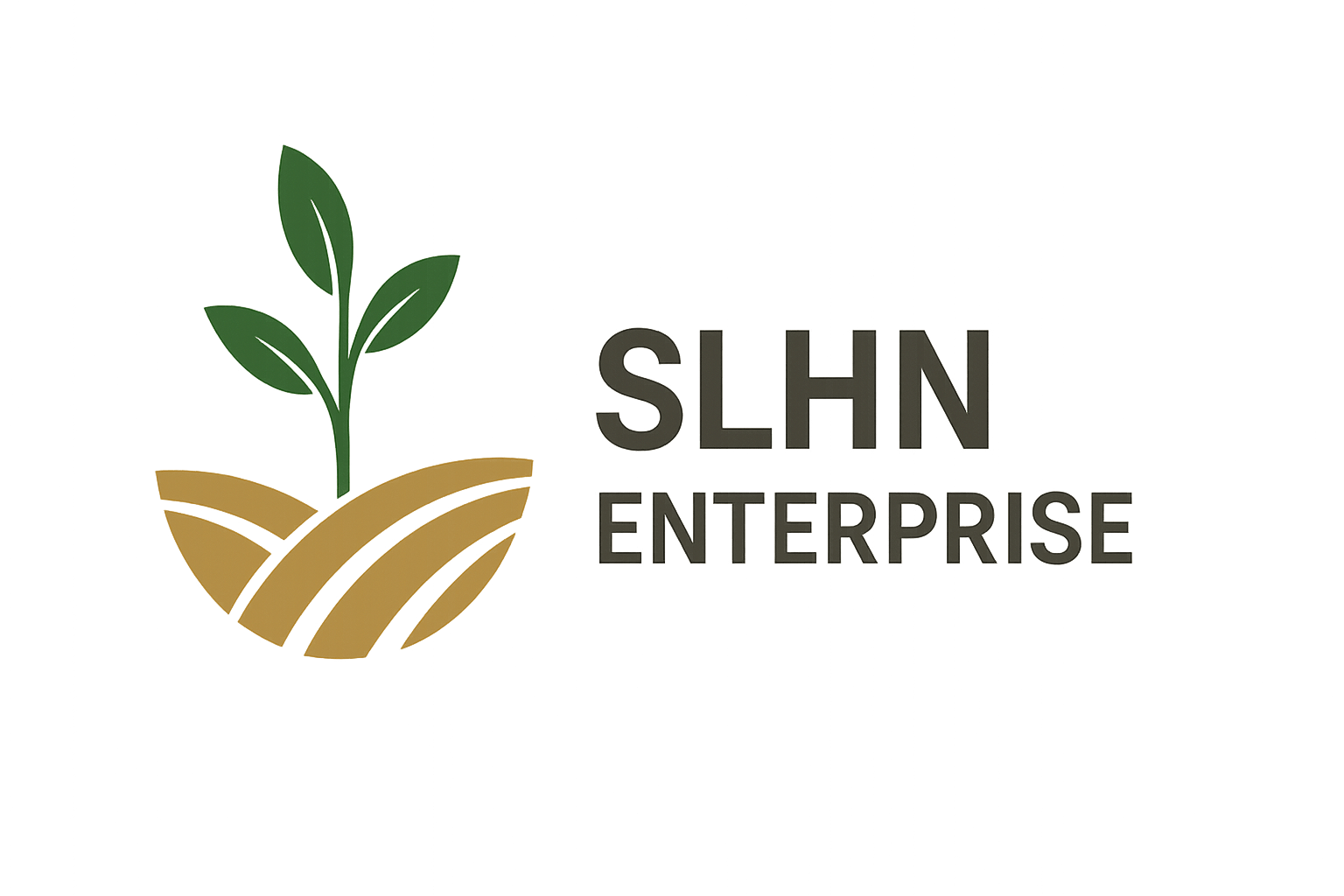 SLHN Enterprise Malaysia