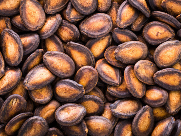 Watermelon Seeds – Premium Quality for Food, Snacks & Export